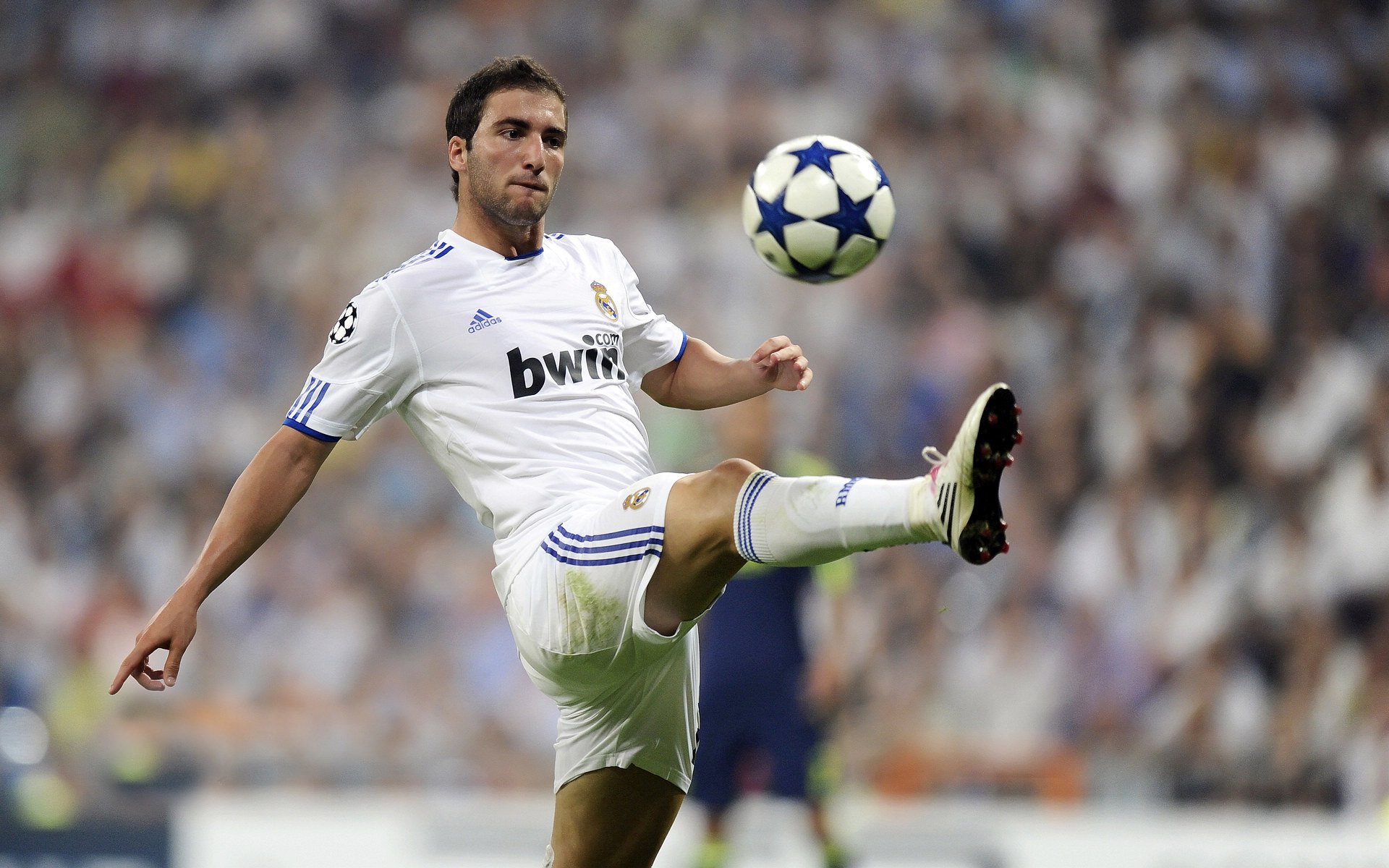 未来“足球精英”闪耀欧冠，明日之星崭露头角，精英未来足球俱乐部